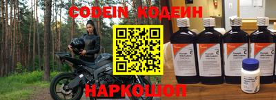 стаф Кингисепп