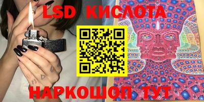 мдпв Камышлов