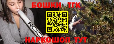 мдпв Камышлов