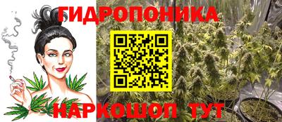 стаф Кингисепп
