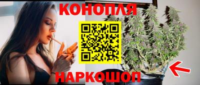 мдпв Камышлов