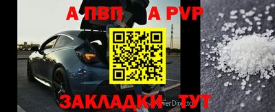 стаф Кингисепп