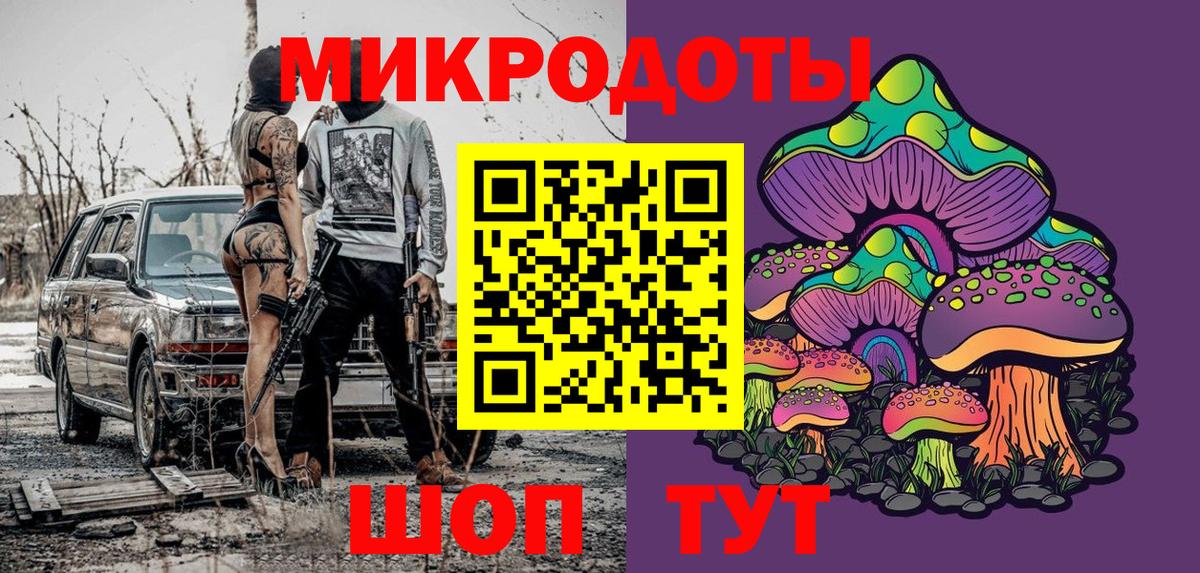 Псилоцибиновые грибы Psilocybine cubensis Красноармейск