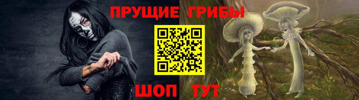 Красноармейск  Галлюциногенные грибы ЛСД  Вход с VPN  Псилоцибиновые грибы MAGIC MUSHROOMS 